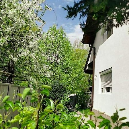 Casa File De Poveste Târgu Jiu 외부 사진