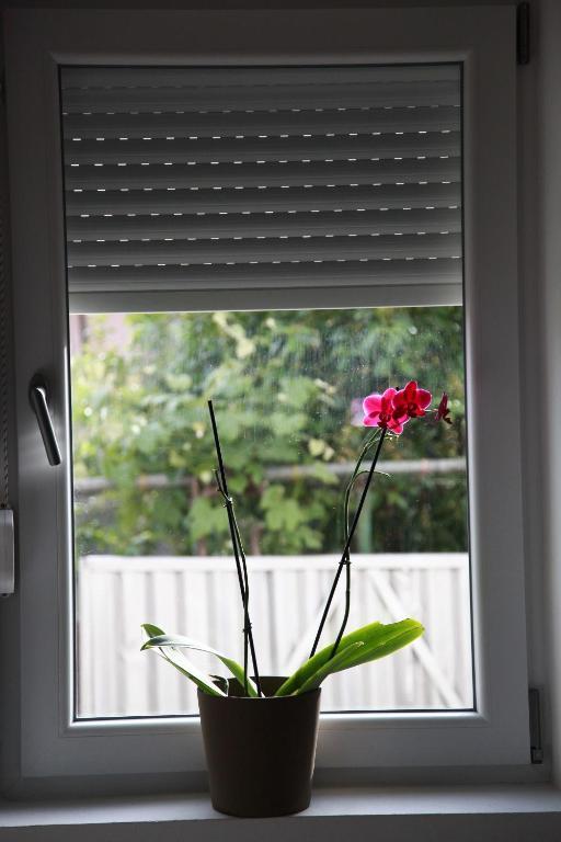 Casa File De Poveste Târgu Jiu 외부 사진