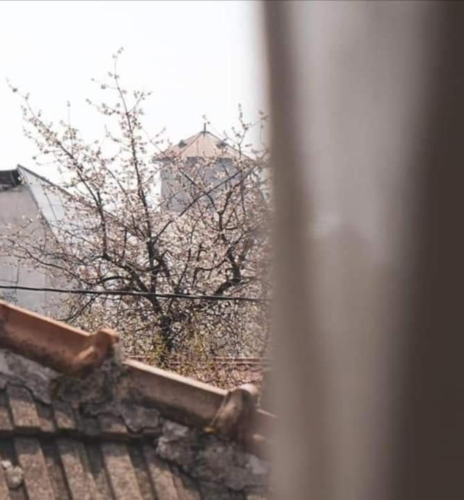 Casa File De Poveste Târgu Jiu 외부 사진