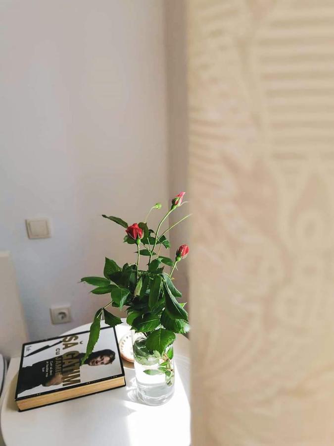 Casa File De Poveste Târgu Jiu 외부 사진