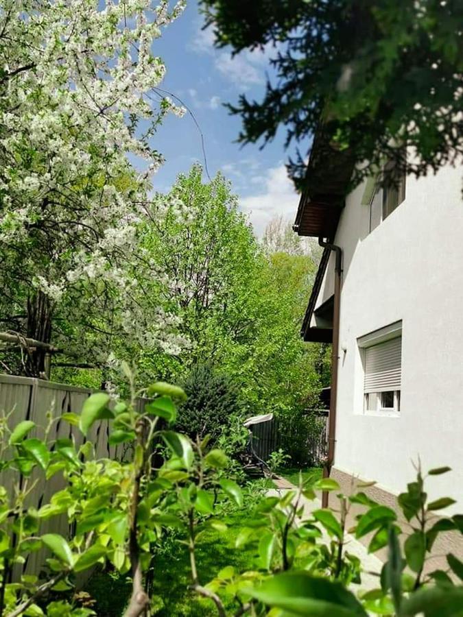 Casa File De Poveste Târgu Jiu 외부 사진