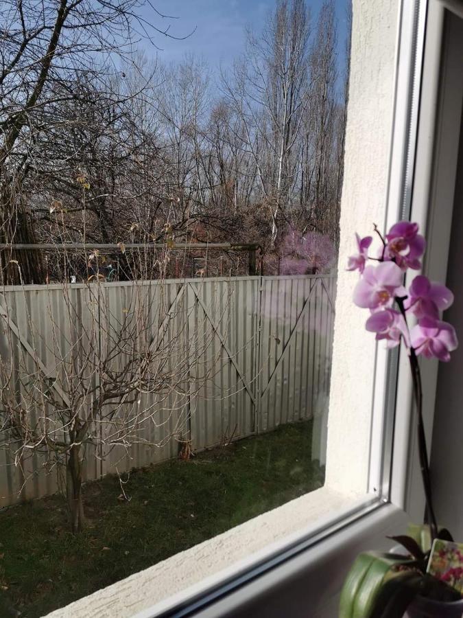 Casa File De Poveste Târgu Jiu 외부 사진