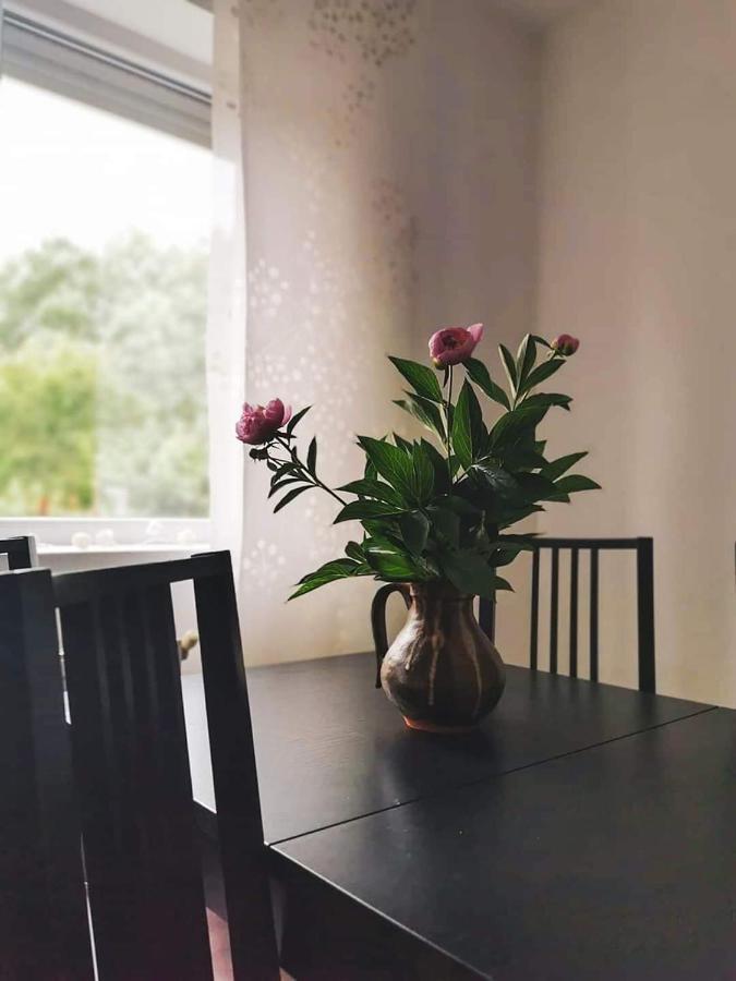 Casa File De Poveste Târgu Jiu 외부 사진